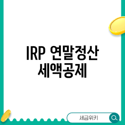 IRP 연말정산 세액공제