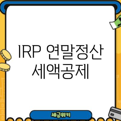 IRP 연말정산 세액공제