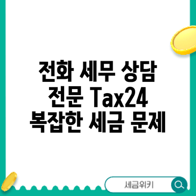 전화 세무 상담 전문 Tax24: 복잡한 세금 문제