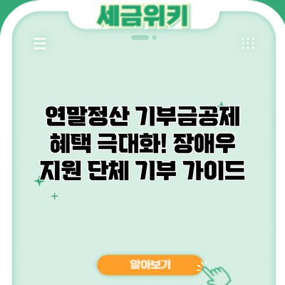 연말정산 기부금공제 혜택 극대화! 장애우 지원 단체 기부 가이드