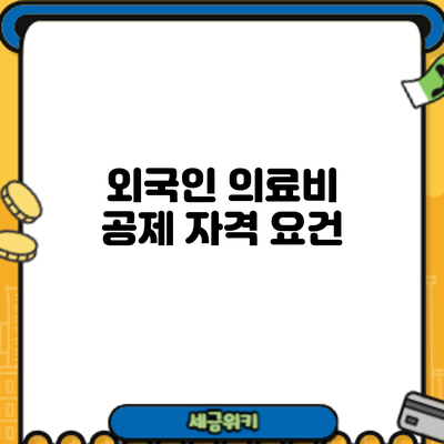 외국인 의료비 공제: 자격 요건