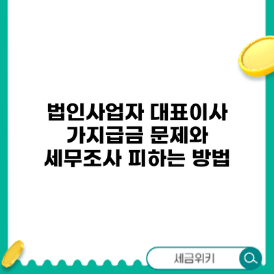 법인사업자 대표이사 가지급금 문제와 세무조사 피하는 방법