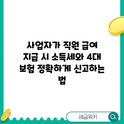 사업자가 직원 급여 지급 시 소득세와 4대 보험 정확하게 신고하는 법