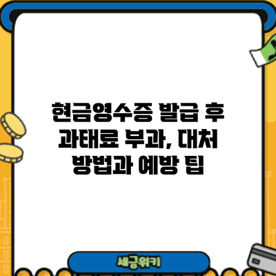 현금영수증 발급 후 과태료 부과, 대처 방법과 예방 팁